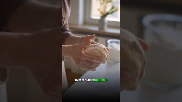 В поисках Стрессоустойчивости