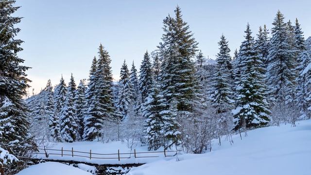 Зимний Лес от Искусственного Интеллекта (Фотошоп). Winter Forest from Al (Photoshop) смотреть онлайн