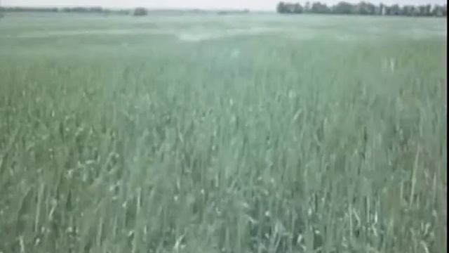 1984 Зачем мы изучаем нашу землю смотреть онлайн