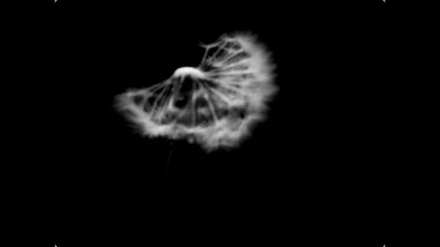 Layo & Bushwacka feat. Cevin Fisher - Dancing in the Dark (Guy Gerber & DJ Tennis Remix) смотреть онлайн