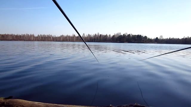 Поплавочная ловля Уклейки весной