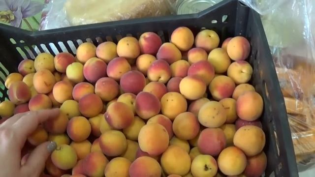 ЕДЕМ В ГОРОД\МНОГО ДЕЛ\ТОРГУЕМСЯ НА РЫНКЕ\БОЛЬШАЯ ЗАКУПКА ПРОДУКТОВ\ЗНАКОМСТВО С МУЖЕМ\СДЕЛАЛА УЗИ смотреть онлайн