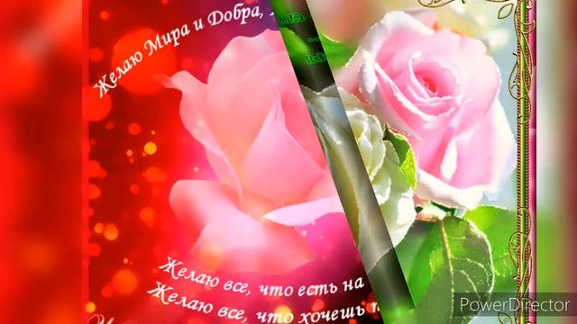 Я ТЕБЕ ЖЕЛАЮ СЧАСТЬЯ, МНОГО, НАСТОЯЩЕГО! смотреть онлайн