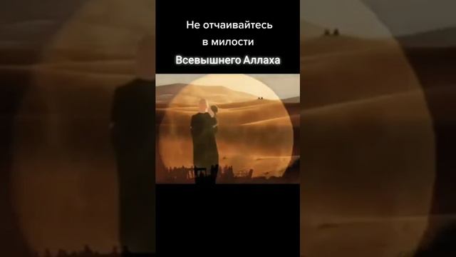 Не отчаивайтесь в милости Аллаха | Исламское видео смотреть онлайн