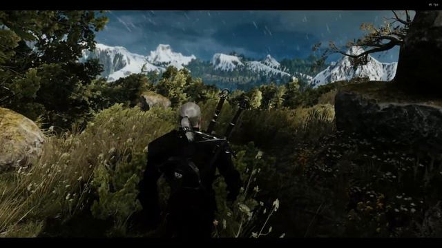 The Witcher 3 | Saldax ReShade + Phoenix Lighting Mod Ultimate 5.0 | Ultra Modded Showcase Review смотреть онлайн