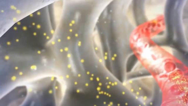 10 Лучших Продуктов Для Наращивания Мышц смотреть онлайн