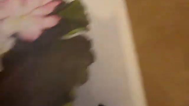 Мои подарки на 8 марта/Покупки смотреть онлайн