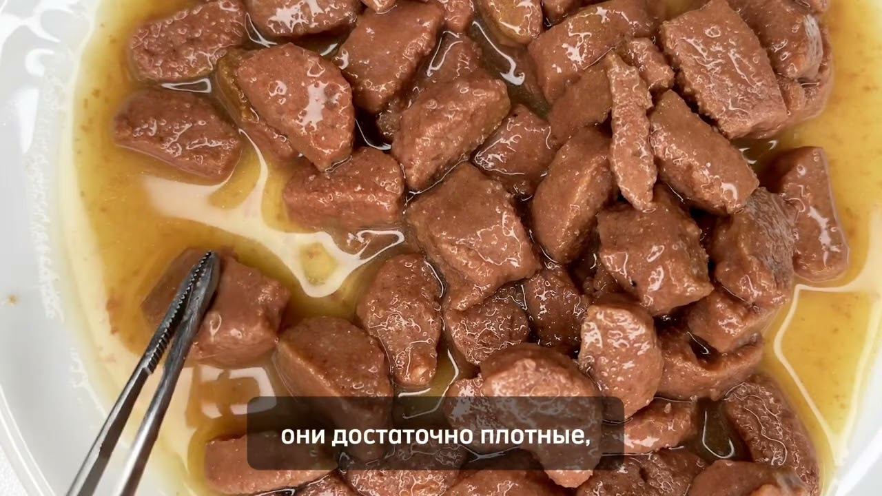 Пауч для кошек Probalance Immuno, защита иммунитета, с говядиной, 85г смотреть онлайн