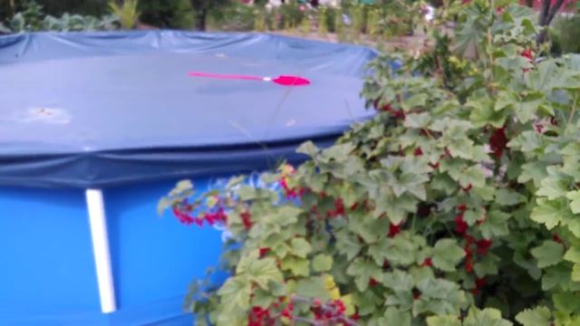 Обзор дачи конец июня. смотреть онлайн