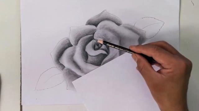 Rose with Water Drops | Flowers Drawing | How To Draw Rose Pencil Shading Realistic смотреть онлайн