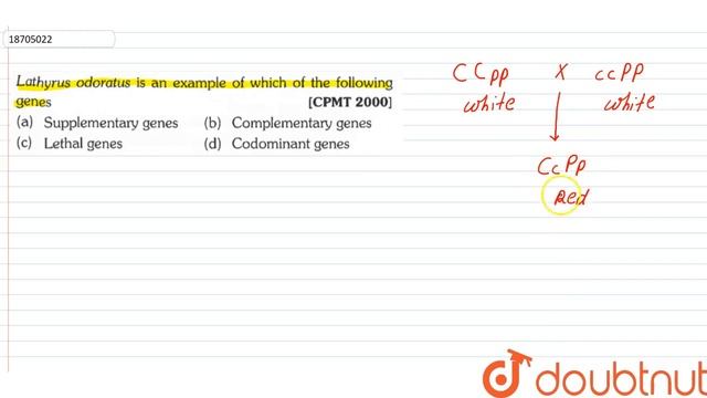 Lathyrus Odoratus Is An Example Of Which Of The Following Genes | 12 | PRINCIPLES OF INHERITANCE...