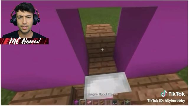 Minecraft TESTING BRAND NEW TIK TOK IDEAS TO GO VIRAL !! NEVER DO THIS IN MINECRAFT !! Minecraft смотреть онлайн