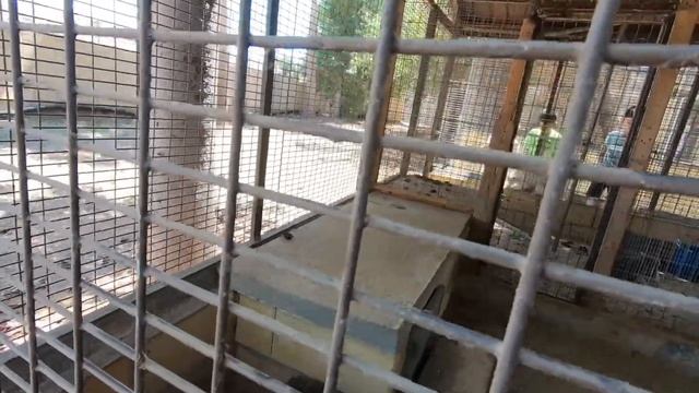 ЧТО посмотреть на КИПРЕ | САМЫЕ интересные места | ПРОТАРАС, Океанический АКВАРИУМ смотреть онлайн