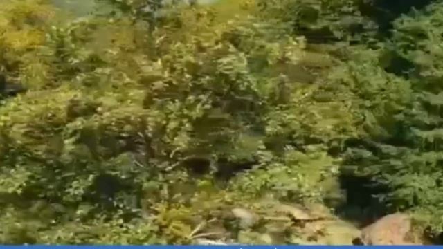 Ингаляции с LUGELA. смотреть онлайн