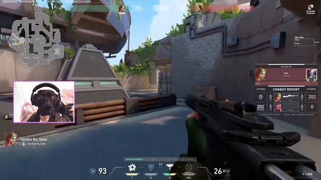 Valorant Live-Afternoon Stream - finally data operator changed/DAY14 смотреть онлайн