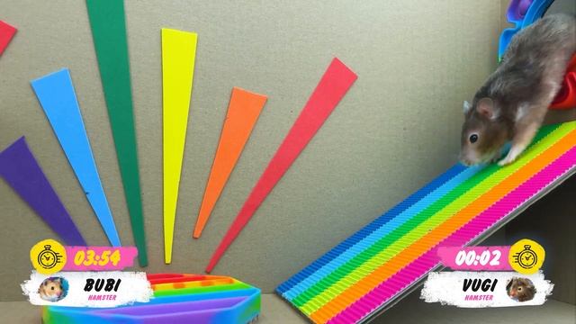 Hamster in Rainbow Pop It Maze ? Escape in real life смотреть онлайн