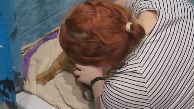 Привезли внука к бабуле🙂 смотреть онлайн