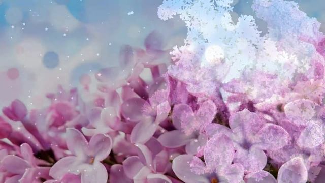 Сирень. Lilac смотреть онлайн