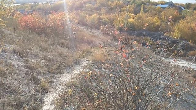 Проснулся за 5 минут до звонка будильника и на ловлю рванул наконец-то настал этот день смотреть онлайн