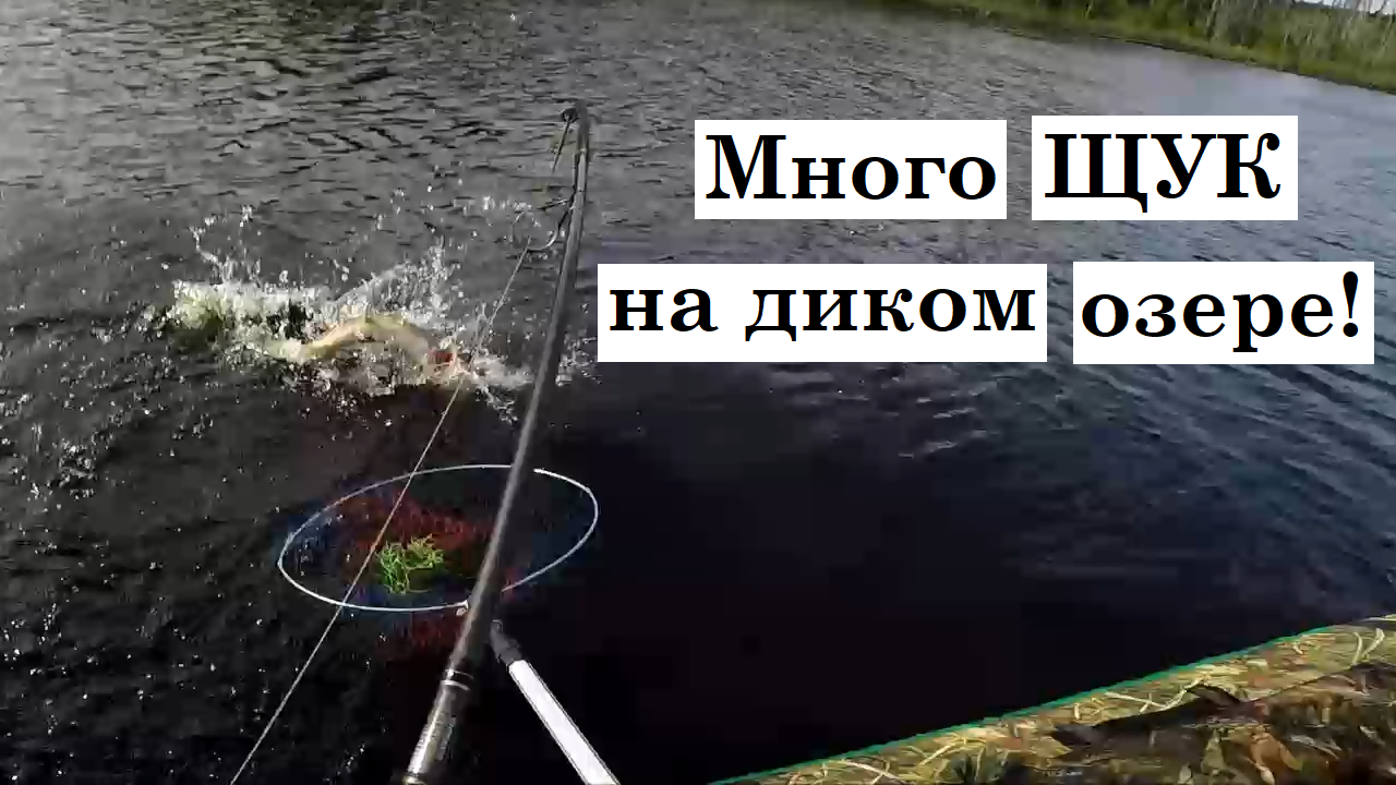 Дикое озеро Карелии со ЩУКАМИ | Удачная рыбалка с байдарки, жор щучий, клёв на спиннинг летом