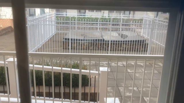 Встреча российского Нового Года в Вашингтоне, США - 04 РМ ( 4 часа дня) 31 декабря 2021 № 2. смотреть онлайн