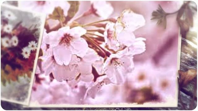 прикольные поздравления на 50 женщине смотреть онлайн