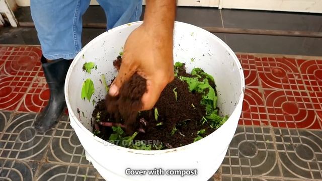 How to Make Compost at Home | Kitchen Waste Compost Update смотреть онлайн