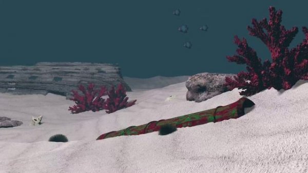 Океан. Морские глубины.