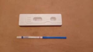 Я БЕРЕМЕННА!!!?/Как темнели полоски на тесте/Две заветные полосочки