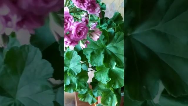 Ю Марлезон 2 смотреть онлайн