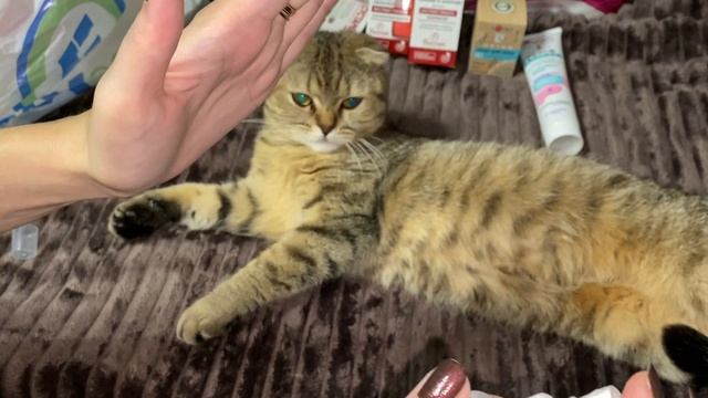 ?Покупки ФИКС ПРАЙС ? НОВИНКИ ФИКС ПРАЙС / уход и маски / сыворотка с гранатом ПЛЮШевая пряжа смотреть онлайн