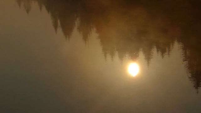 Туман над озером смотреть онлайн