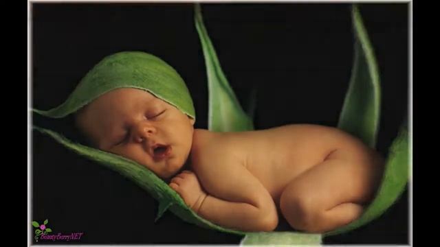 COWSHED Baby Cow Organics шампунь и гель для душа