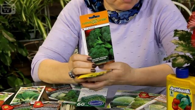 Сорта капусты ❗ Обзор семян HitsadTV