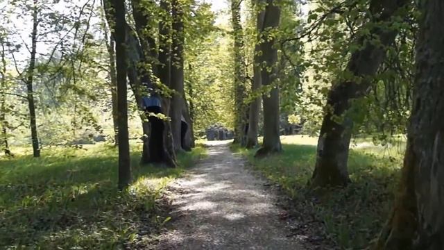 Михайловское. Прогулка по аллее Керн. смотреть онлайн
