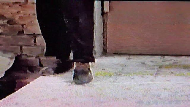 Хьапар чупар