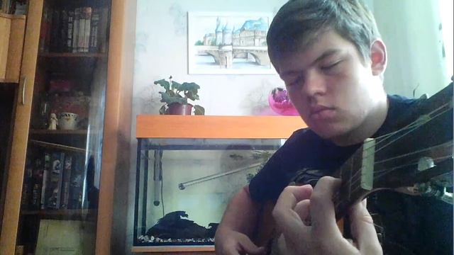 Black Spell of Destruction - Burzum Cover (Acoustic Guitar) смотреть онлайн