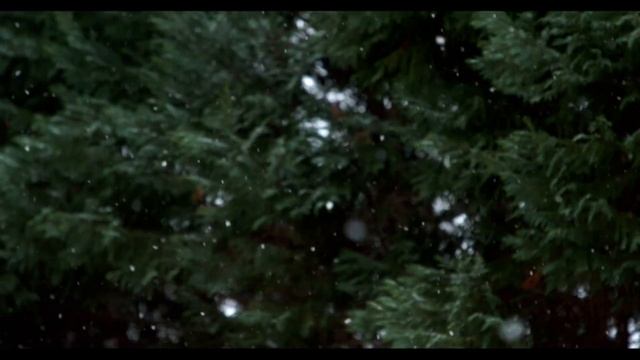 Красивый Снегопад падает на деревья около реки.Звуки природы Зимняя Сказка Видео Падает Снег. смотреть онлайн