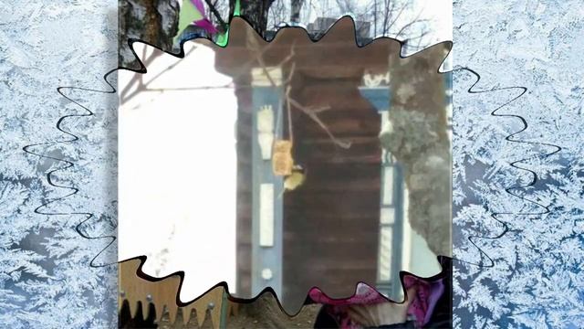 «Мир пернатых и зверей ждет поддержки от друзей» - Лухская библиотека смотреть онлайн