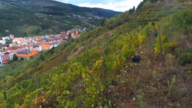 Denominación de Origen Cangas смотреть онлайн