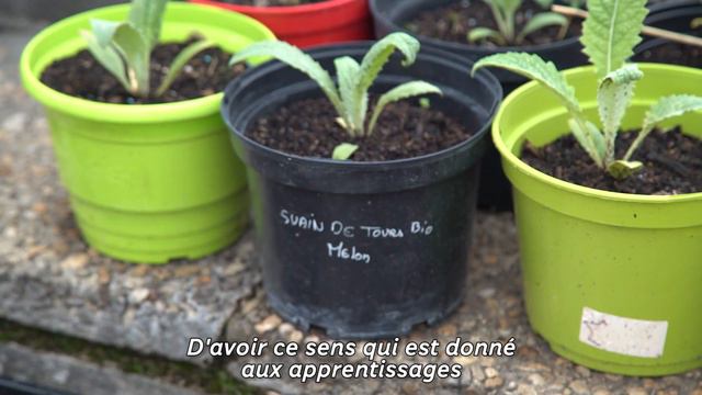 Au collège Flora Tristan, on « cultive » les savoirs смотреть онлайн