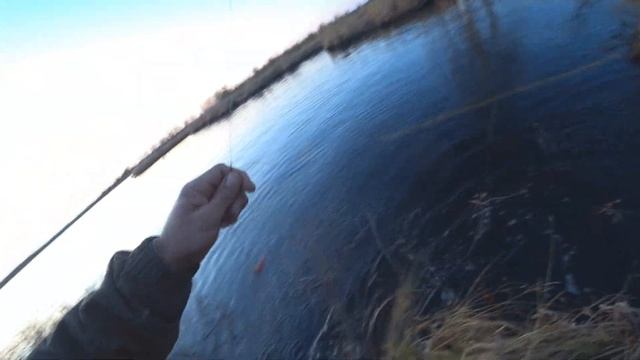 ДИКИЙ! БЕШЕНЫЙ ЖОР ЩУКИ! НОВЫЕ МЕСТА ГУЛАГА! МЕТАЛЛ! СОТНИ КИЛОМЕТРОВ БОЛОТ И ДИКОЙ ТАЙГИ. смотреть онлайн