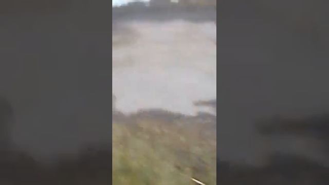 Rm 500cc смотреть онлайн