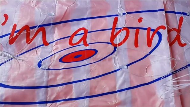 Воздушный Змей Парашют Спортивное крыло смотреть онлайн