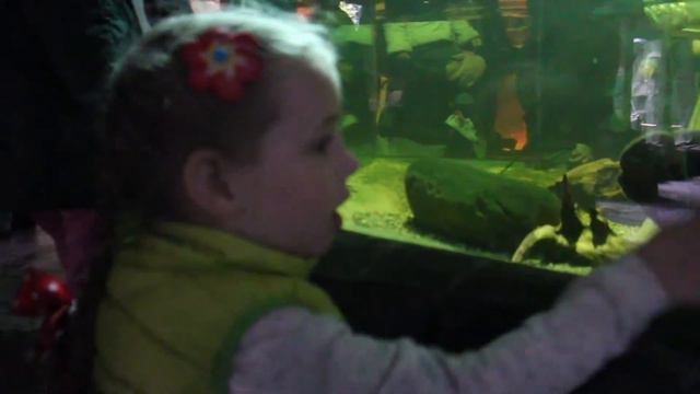 В КИЕВСКОМ ЗООПАРКЕ!!!  видео для детей.