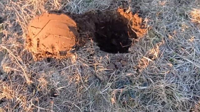 КОП В ПОЛЯХ НОВЫЙ УРОВЕНЬ. смотреть онлайн