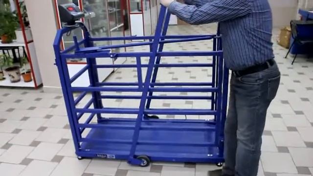 Весы "Живой вес" смотреть онлайн