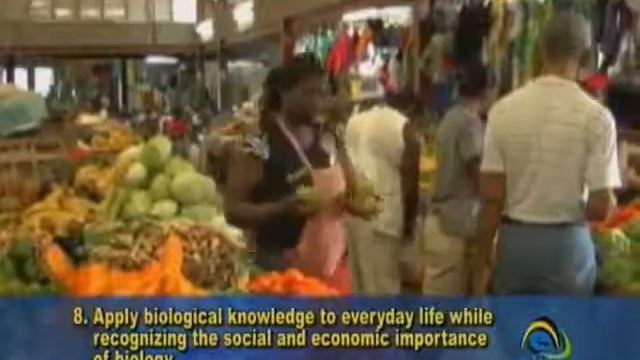 Aims & Goals of the Syllabus смотреть онлайн