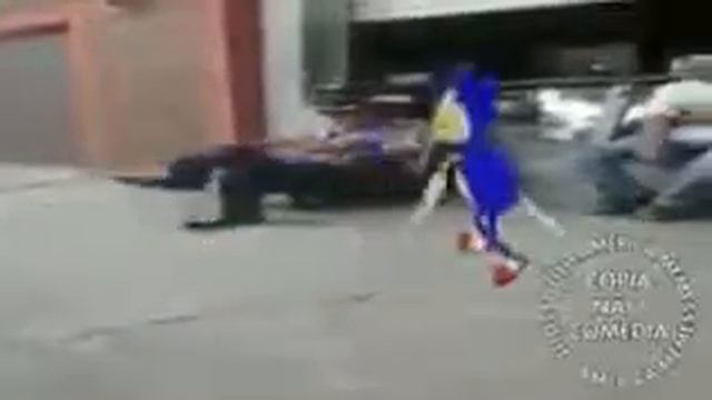 Ёж дал леща человеку в зоопарке! Hedgehog hit a man in the zoo! смотреть онлайн