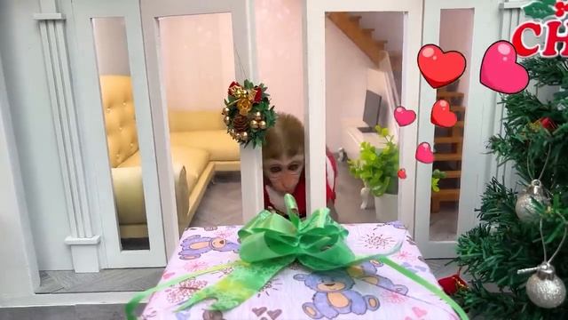 Monkey Baby Bon Bon on a winter vacation and fruit harvest in the garden with the puppy смотреть онлайн